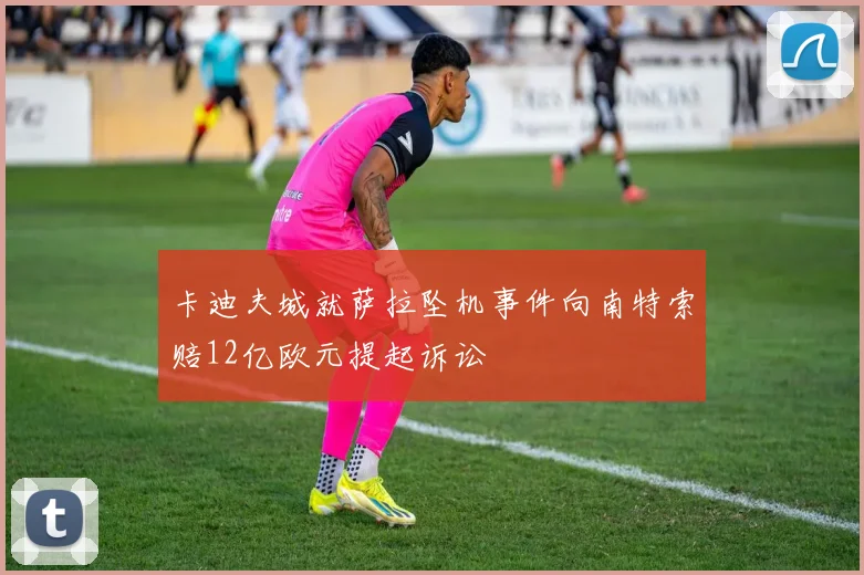 卡迪夫城就萨拉坠机事件向南特索赔12亿欧元提起诉讼